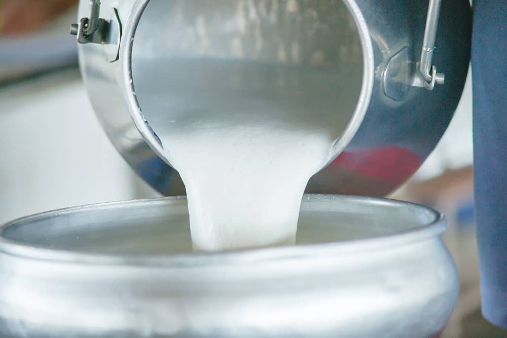 Cup of milk showcasing pure water quality achieved through Sublime Environmental treatment for dairy operations and product excellence