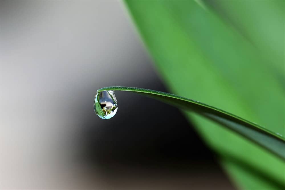 Sustainable farm irrigation system with clean water treated by Sublime Environmental technology